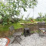 Sweet Home In The Heart Of Zona Rosa, San Benito