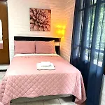 Sweet Home In The Heart Of Zona Rosa, San Benito